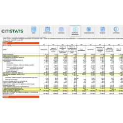 CITISTATS PREVISIONNEL